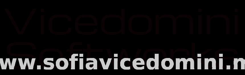 Why I Decided to Incorporate My Software Development Work 💻✨