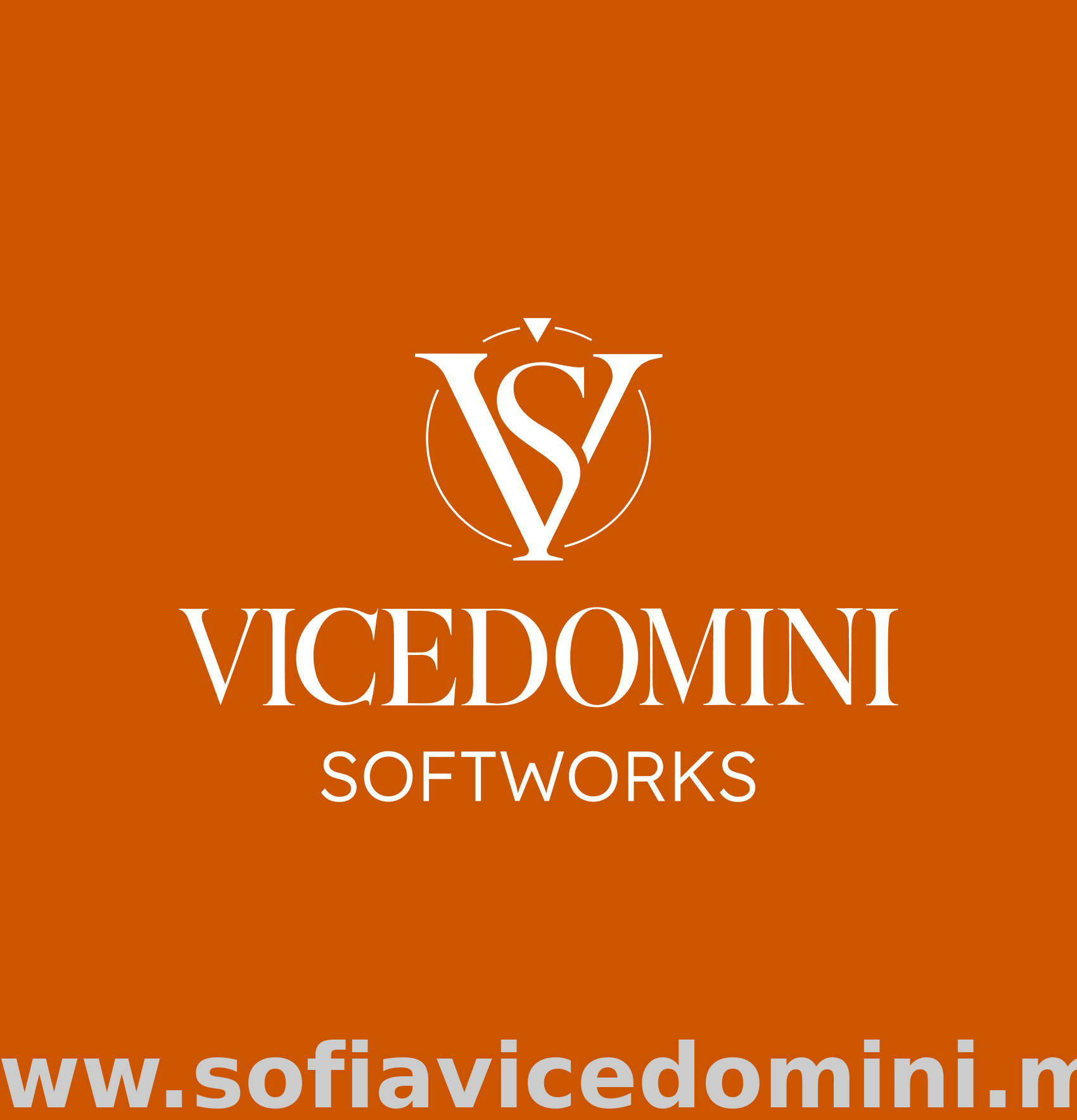 Why I Decided to Incorporate My Software Development Work 💻✨